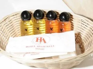 Ferraro Hotell 2*